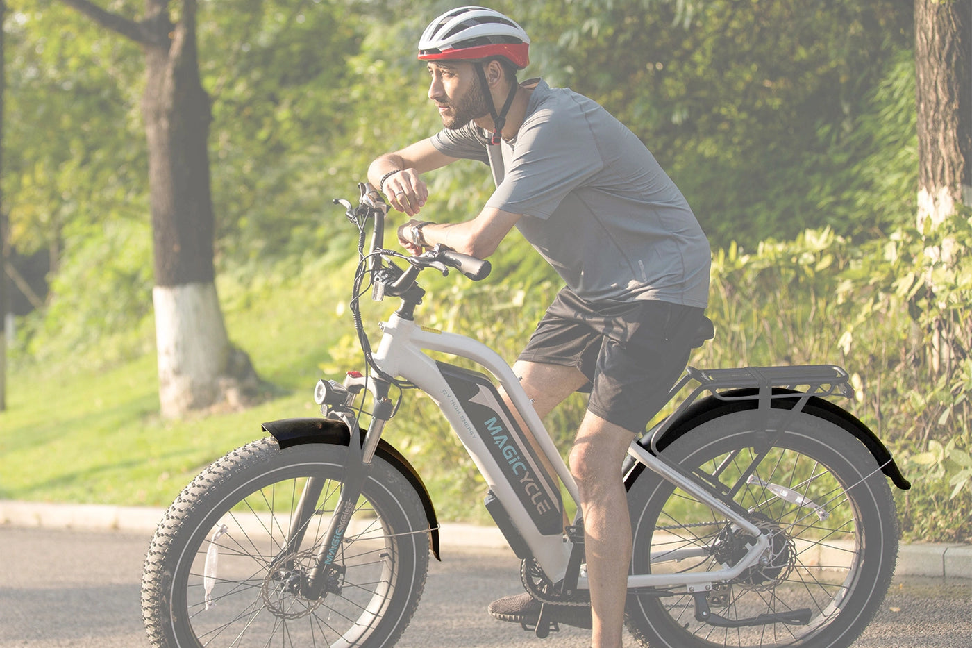 Magicycle Ebike Full Fenders