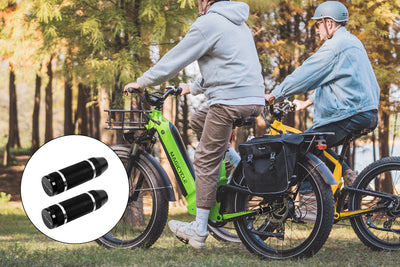 E-Bike Non-Slip Passenger Pegs