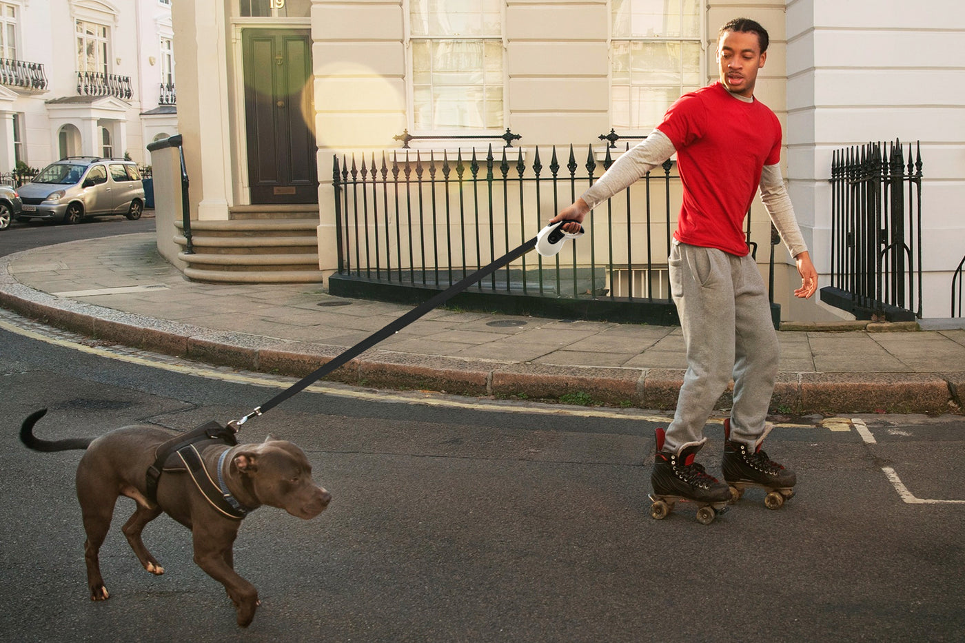 Retractable Pet Leash Traction Rope