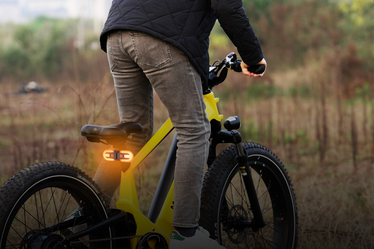 Ebike Tail Light with Turn Signals Wireless Remote Control